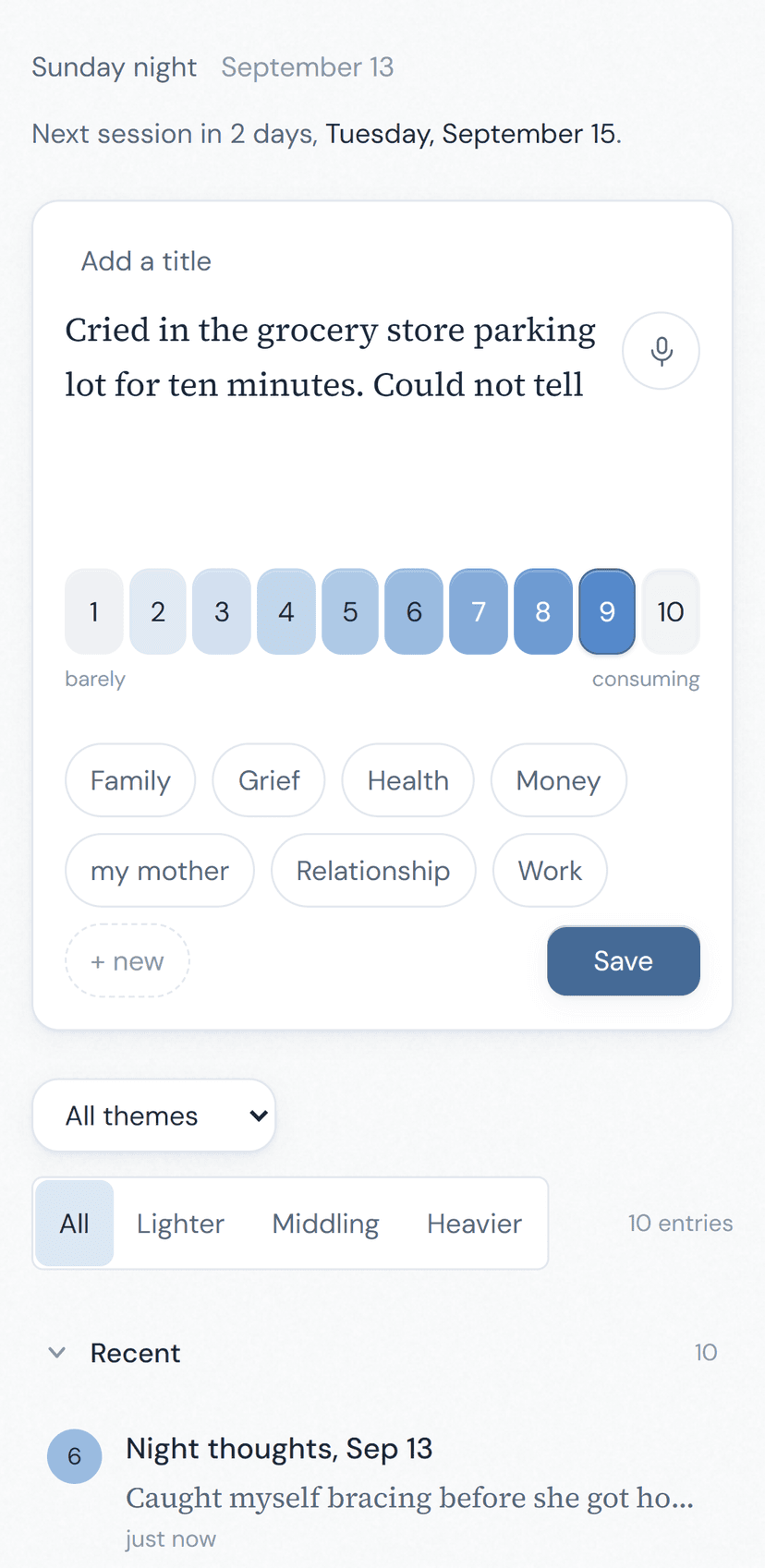 The writing screen: one sentence, a number out of ten, and the themes you have named.